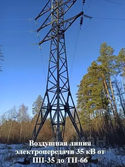 Помещение свободного назначения в Пензенская область, Пензенский ... - Фото 0