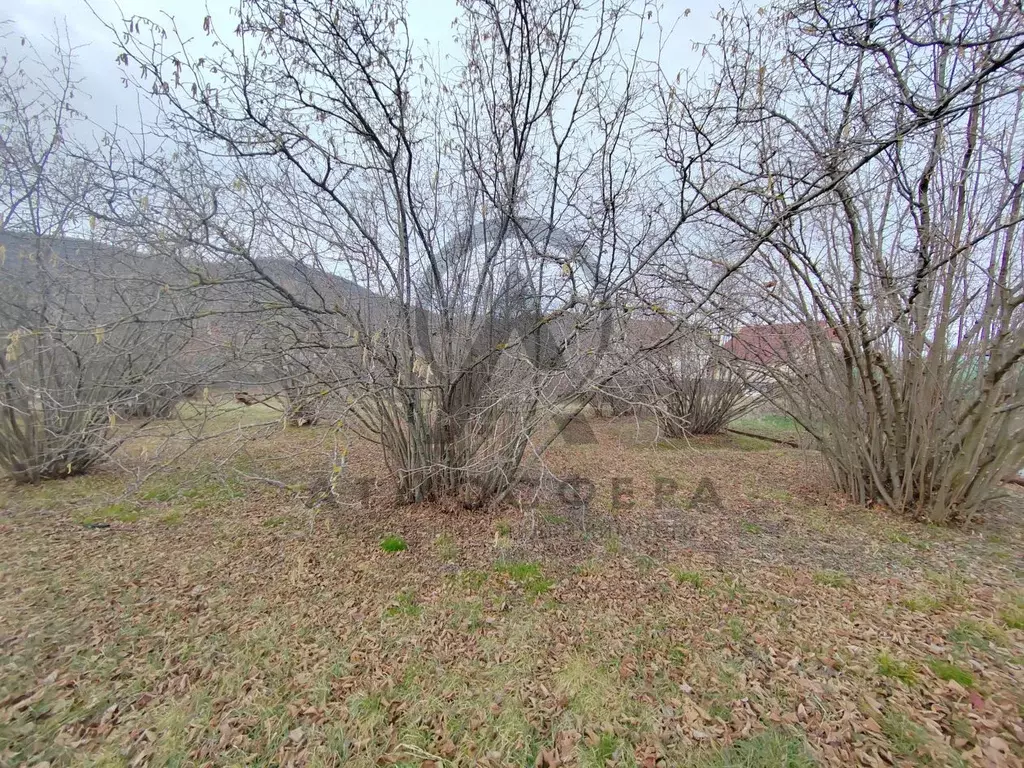 Участок в Краснодарский край, Туапсинский муниципальный округ, ... - Фото 1