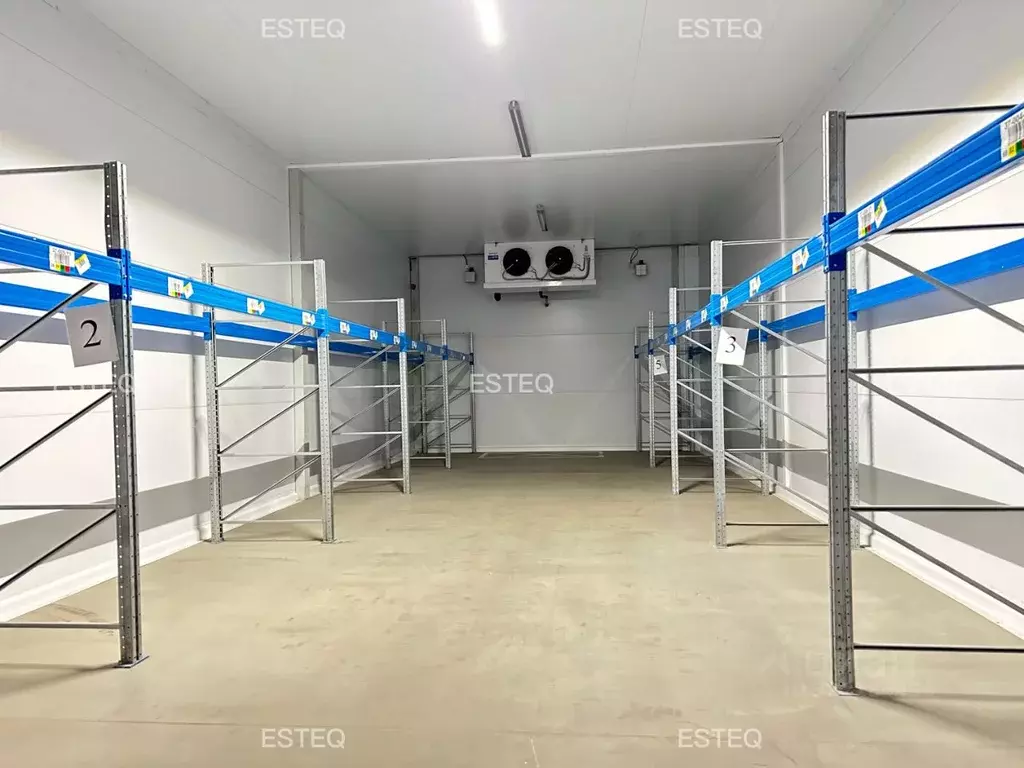 Склад в Новосибирская область, Новосибирский район, с. Толмачево ул. ... - Фото 2