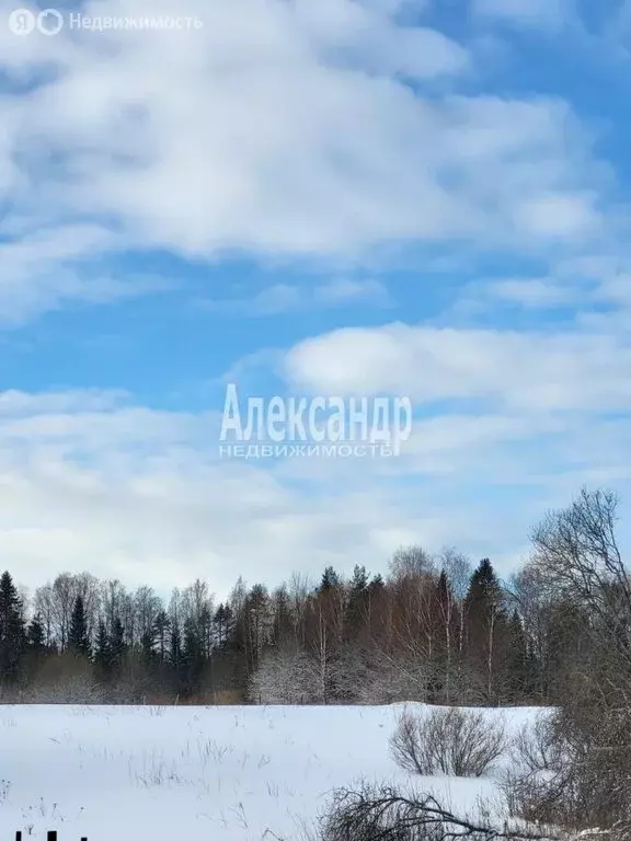 Участок в Республика Карелия, Лахденпохский муниципальный округ, ... - Фото 1