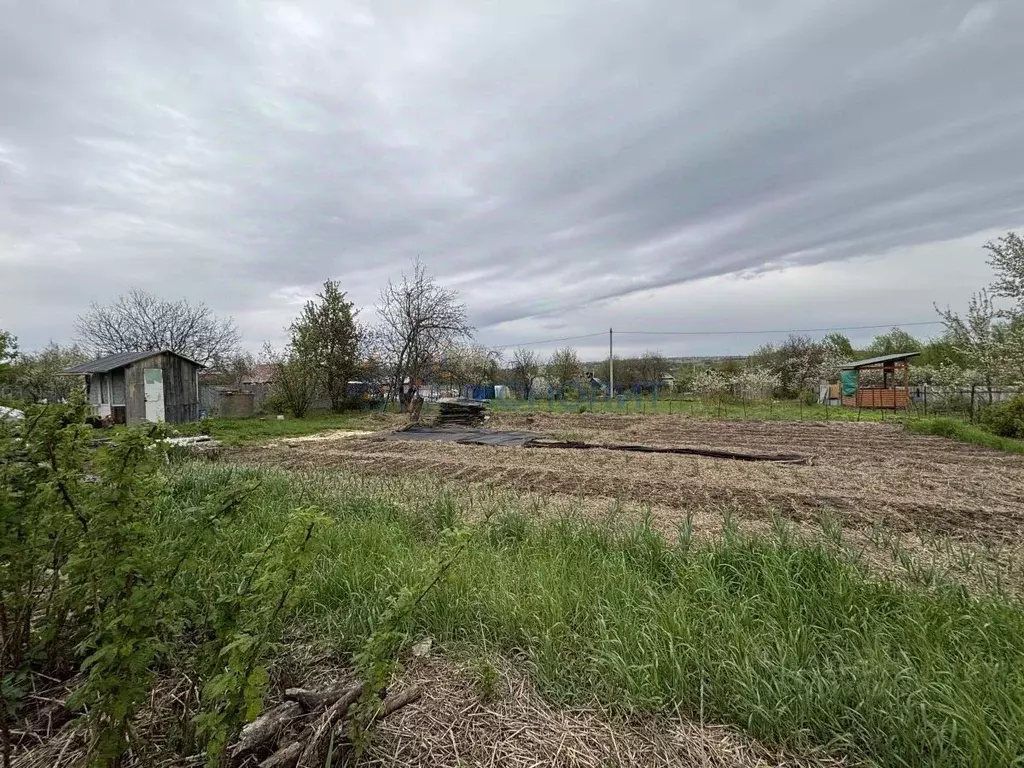 Участок в Нижегородская область, Богородский муниципальный округ, с. ... - Фото 0