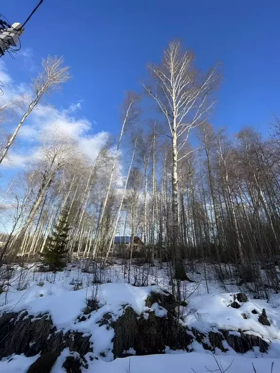 Участок в Ленинградская область, Выборгский район, Рощинское городское ... - Фото 1