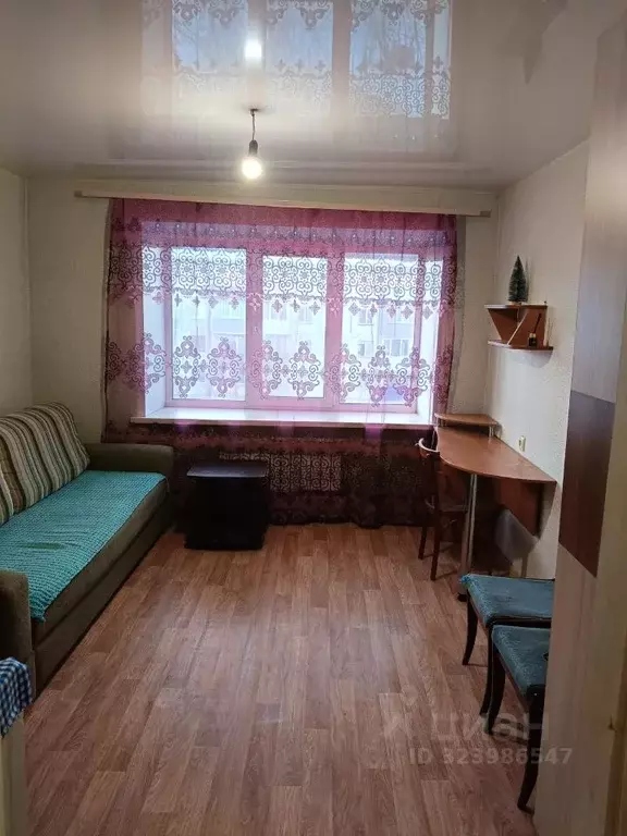 Студия Алтайский край, Барнаул ул. Малахова, 63 (17.0 м) - Фото 2