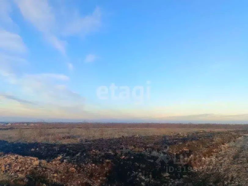 Участок в Ставропольский край, Ставрополь ул. Коломийцева (6.27 сот.) - Фото 1