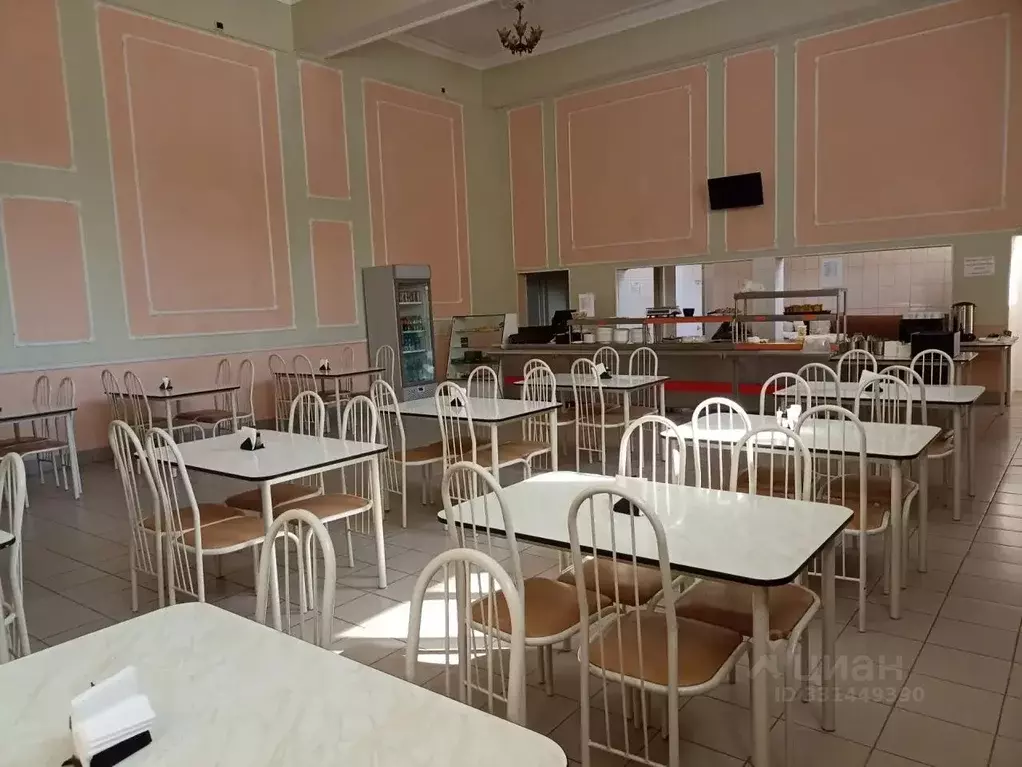 Помещение свободного назначения в Алтайский край, Барнаул просп. ... - Фото 1