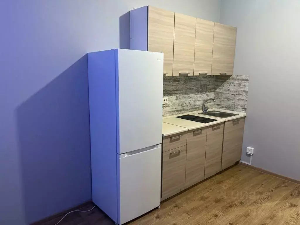 Студия Санкт-Петербург пос. Парголово, проезд Толубеевский, 8к2 (22.2 ... - Фото 1