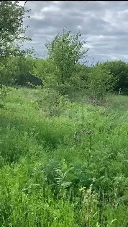 Участок в Ростовская область, Батайск Весна ДНТ, ул. 6-й Проезд (6.0 ... - Фото 1