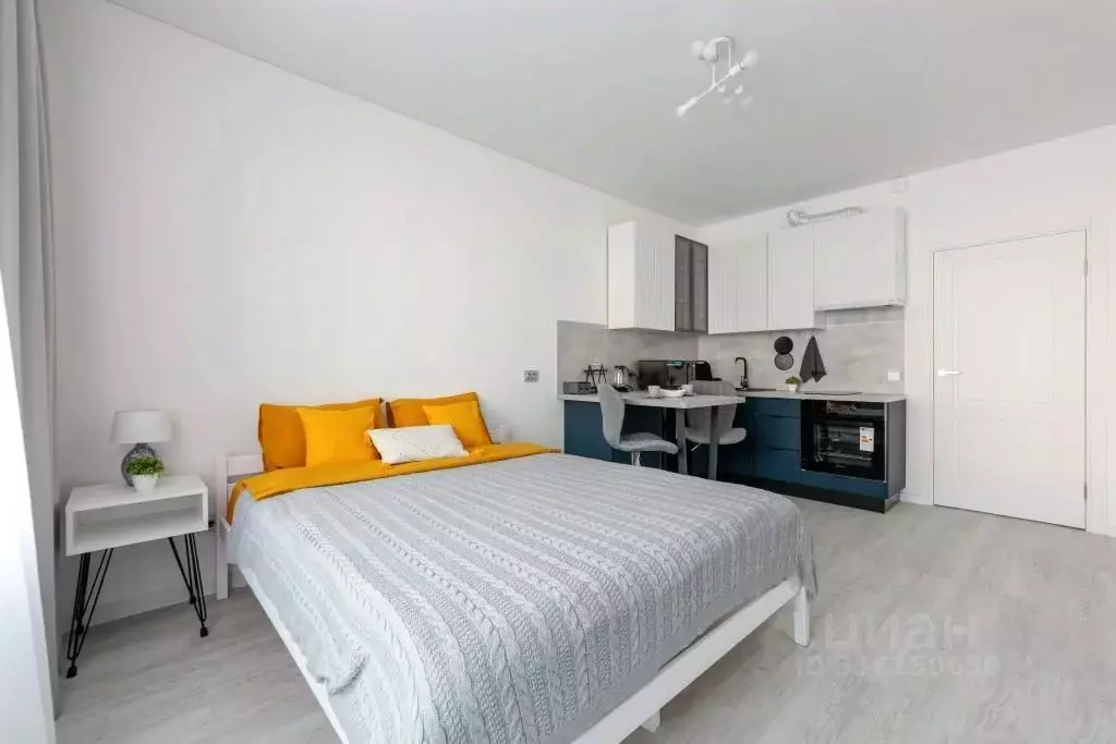 1-к кв. Санкт-Петербург ул. Струве, 10к1 (24.0 м) - Фото 1