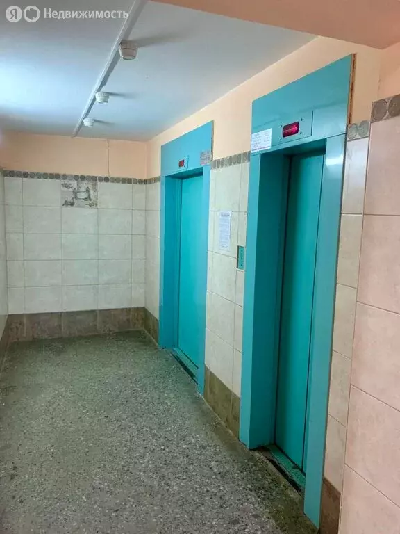 Квартира-студия: Санкт-Петербург, проспект Космонавтов, 34 (56.3 м) - Фото 0