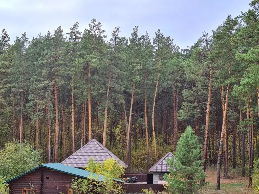 Дом в Алтайский край, Бийский район, Росток СОТ  (40 м) - Фото 0