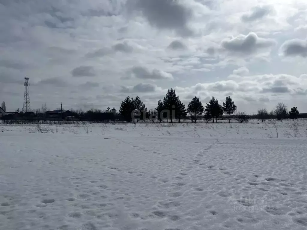 Участок в Воронежская область, Борисоглебский городской округ, с. ... - Фото 1