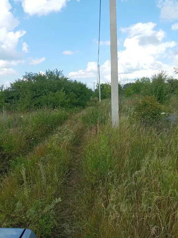 Участок в Белгородская область, Корочанский муниципальный округ, ... - Фото 2
