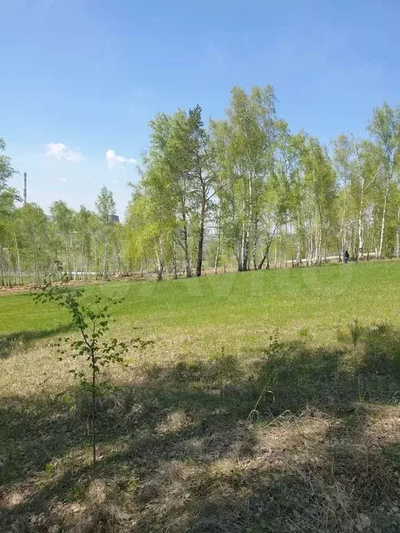 Участок 10 сот. (ИЖС) - Фото 0