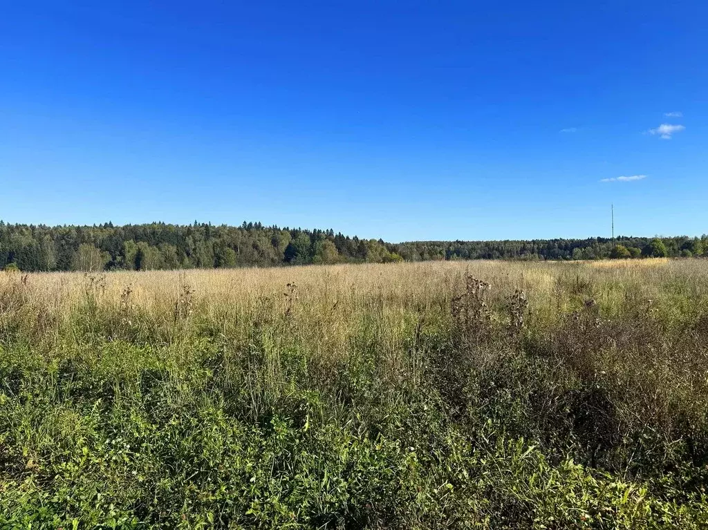 Участок в Московская область, Домодедово городской округ, пос. ... - Фото 2