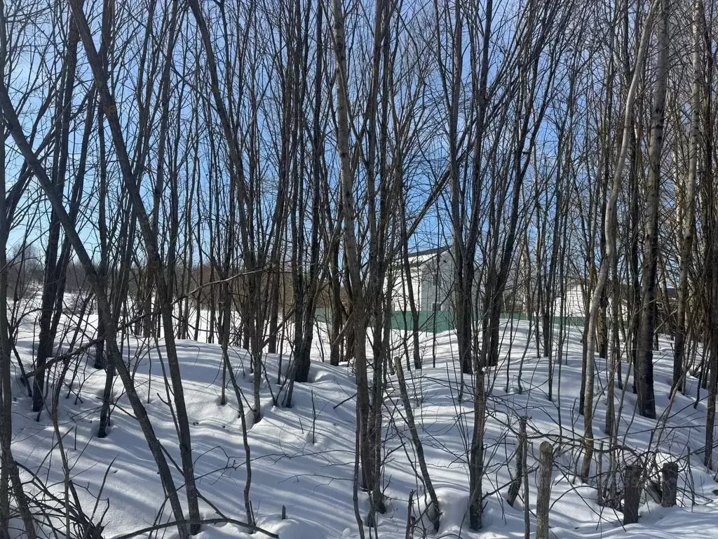 Участок в Московская область, Солнечногорск городской округ, д. Мостки ... - Фото 1