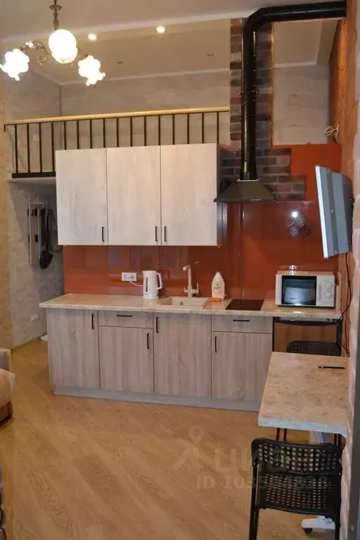 Студия Санкт-Петербург Кронверкская ул., 1 (20.0 м) - Фото 0