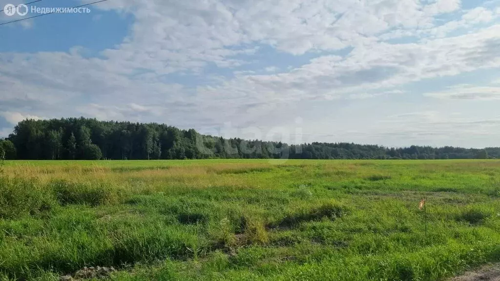 Участок в посёлок Левашово, коттеджный посёлок Про Левашово (12 м) - Фото 0