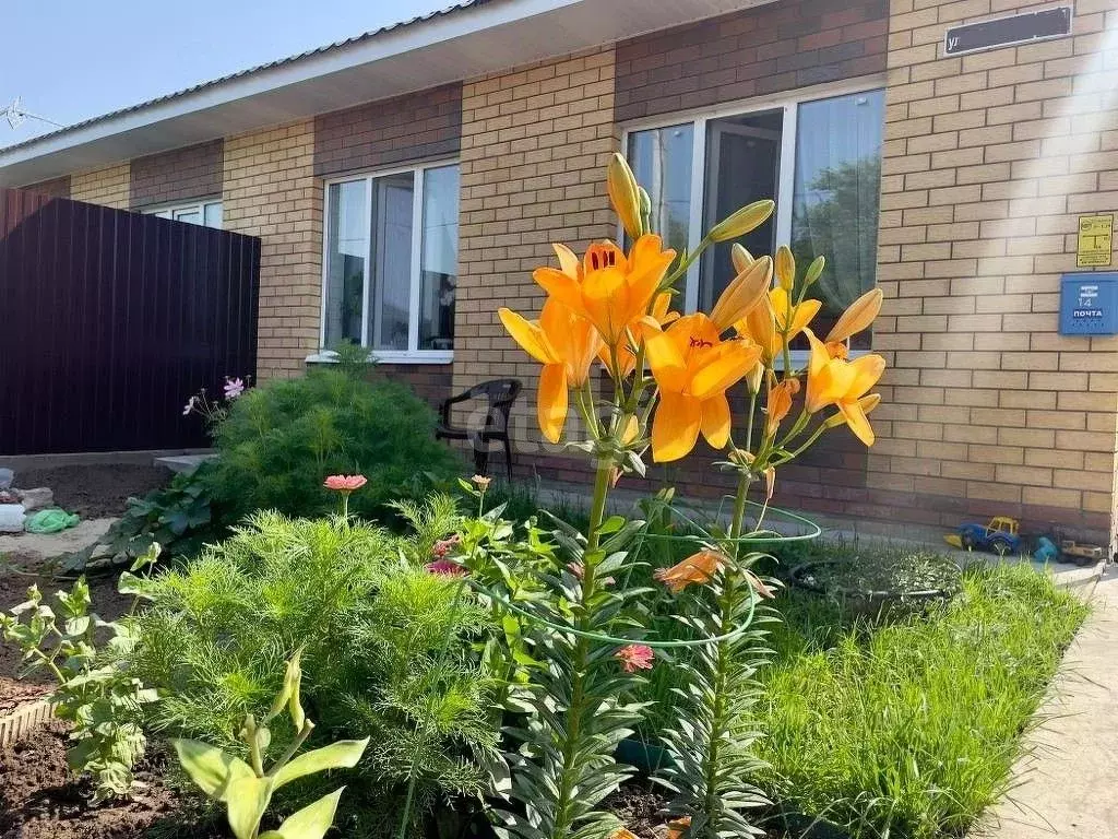 Дом в Татарстан, Высокогорский район, пос. Дачное ул. Николая Липатова ... - Фото 1