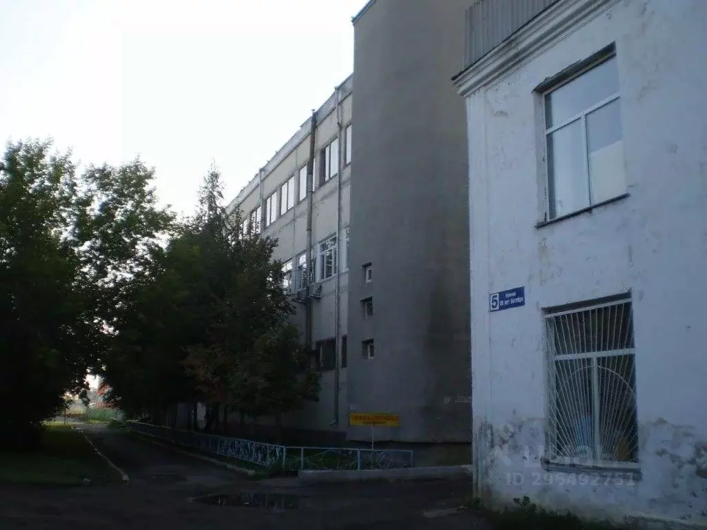 Помещение свободного назначения в Курганская область, Шумиха ул. ... - Фото 2