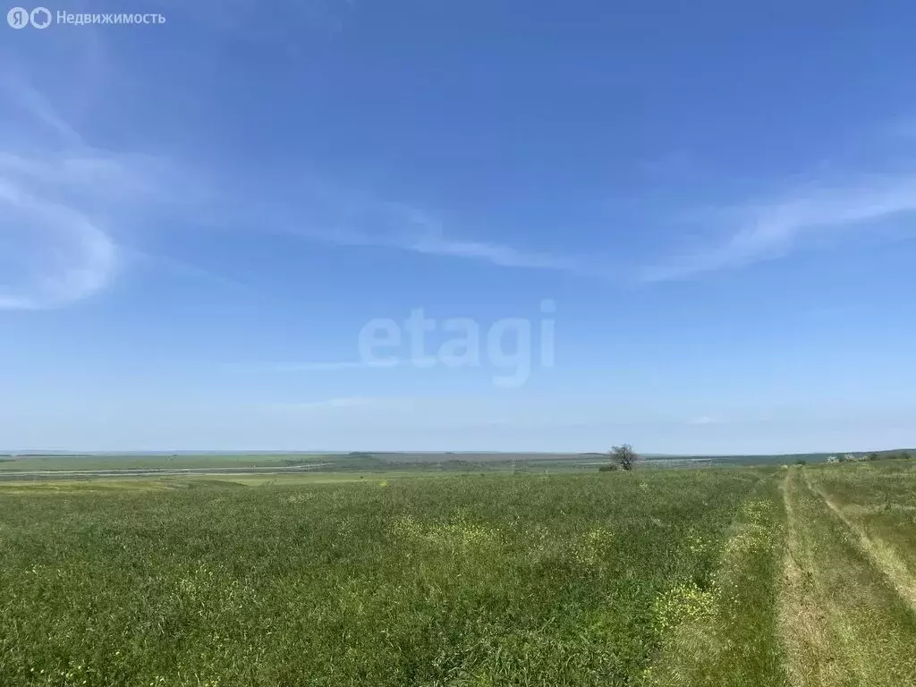 Участок в Ставропольский край, Предгорный муниципальный округ, хутор ... - Фото 1