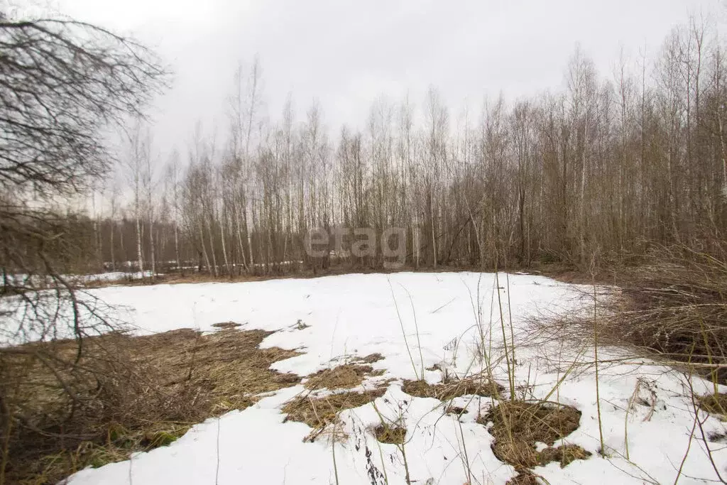 Участок в городской округ Калуга, деревня Крутицы (4 м) - Фото 0