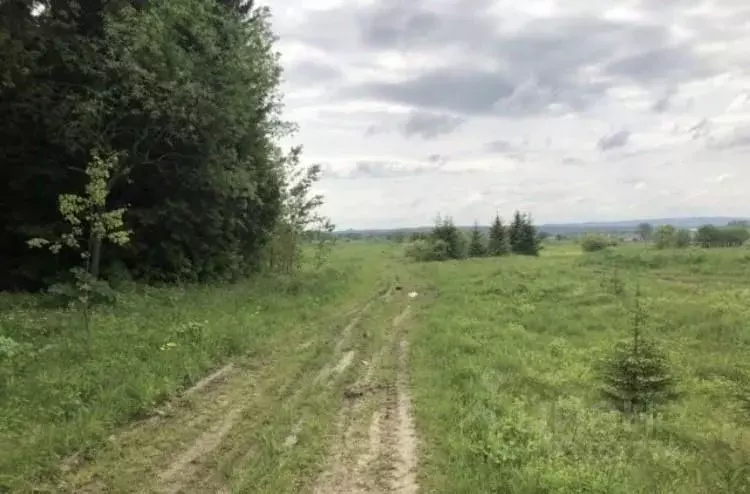 Участок в Пермский край, Краснокамский городской округ, с. Стряпунята  ... - Фото 1