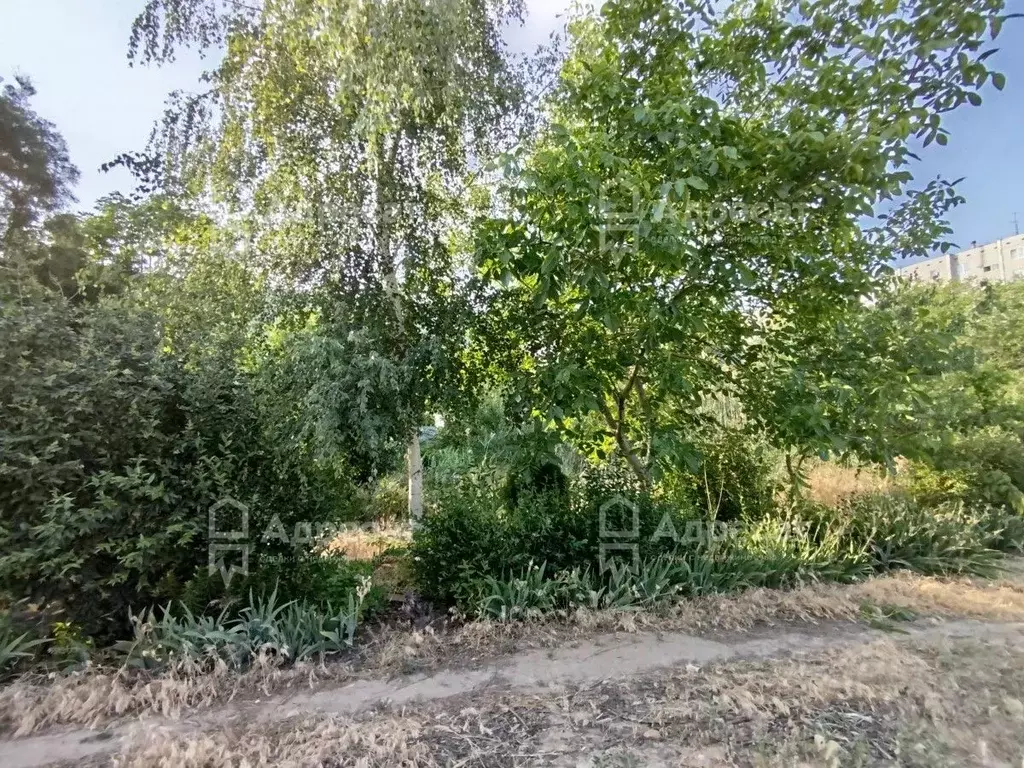 Участок в Волгоградская область, Волгоград Староладожская ул. (5.0 ... - Фото 1