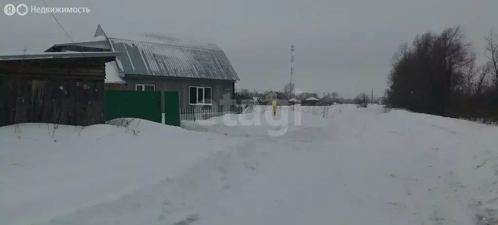 Дом в Тюменская область, Заводоуковский муниципальный округ, село ... - Фото 2