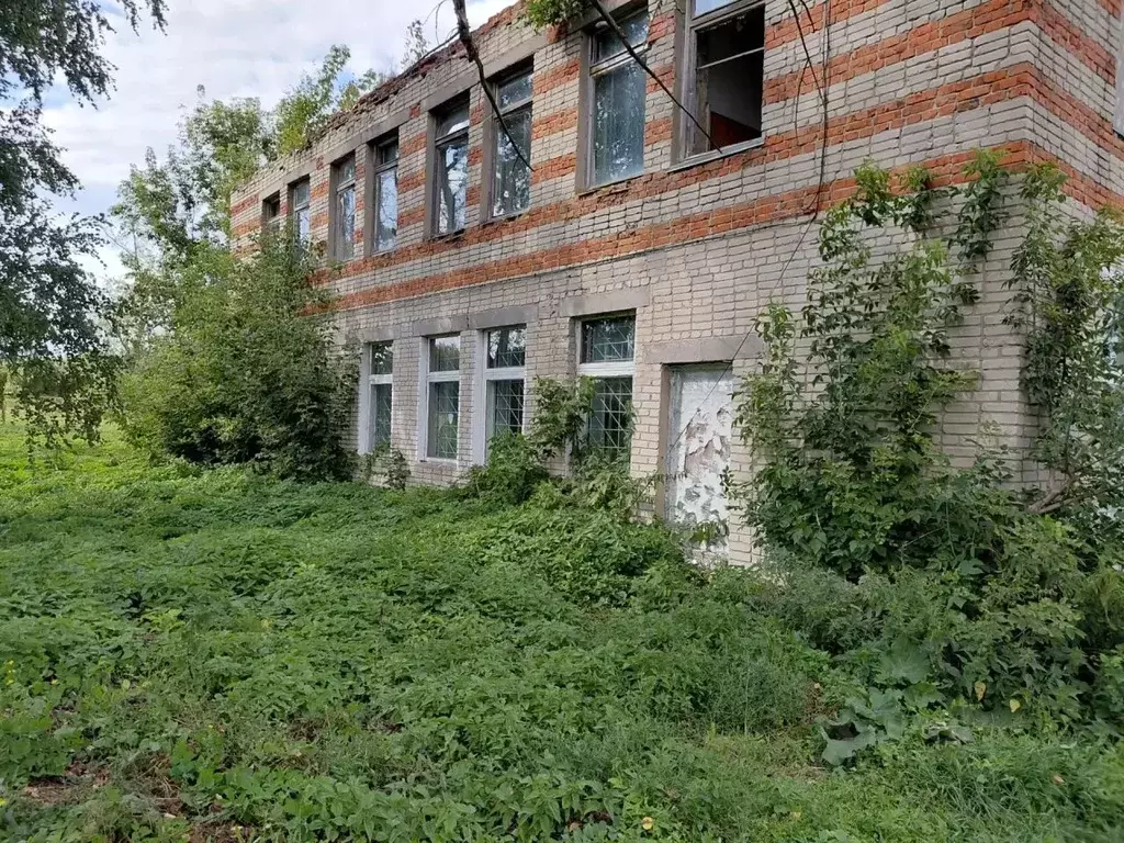 Помещение свободного назначения в Пензенская область, Шемышейский ... - Фото 1