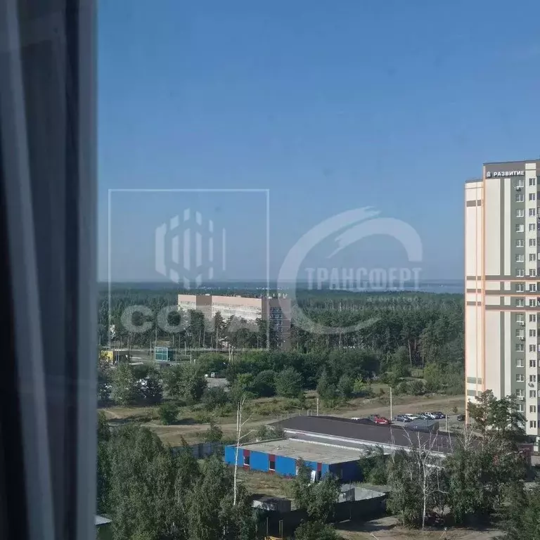 2-к кв. Воронежская область, Воронеж ул. Корольковой, 20 (55.0 м) - Фото 0