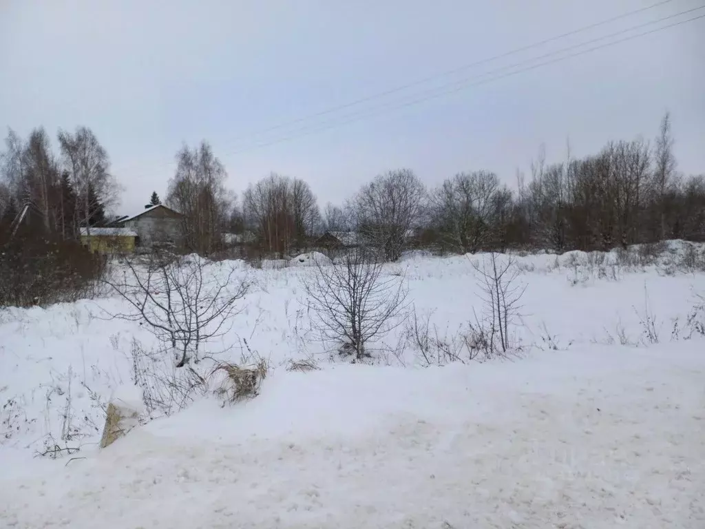 Участок в Псковская область, Псковский район, Логозовская волость, д. ... - Фото 1