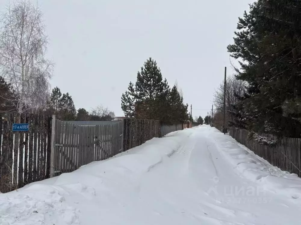 Участок в Омская область, Омский район муниципальный округ, Северянка ... - Фото 2