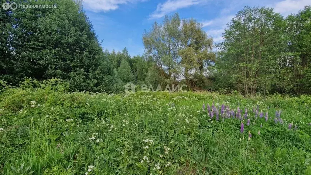 Участок в Весь, Центральная улица (23.6 м) - Фото 2