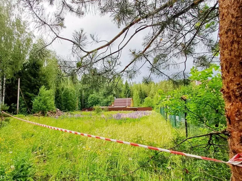 Участок в Ленинградская область, Выборг Витамин СНТ, ул. 1-я ... - Фото 0