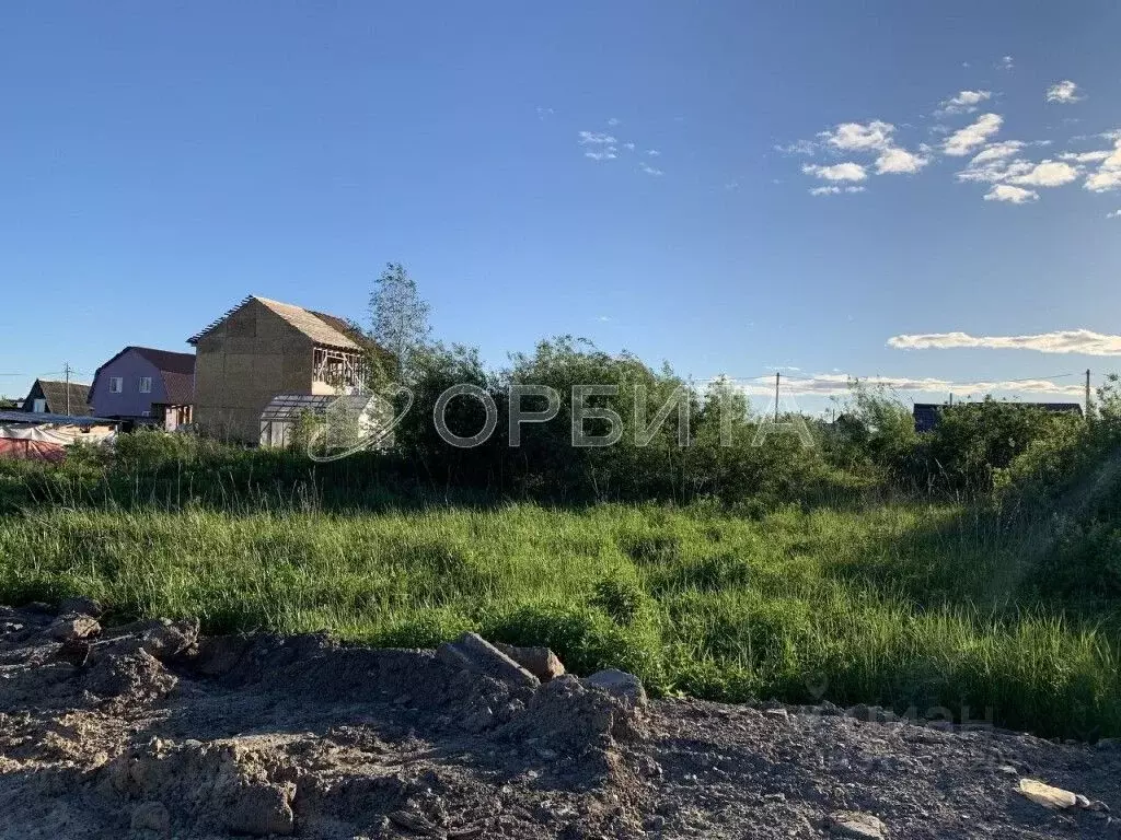 Участок в Тюменская область, Тюмень Якорь садовое товарищество, ул. ... - Фото 1