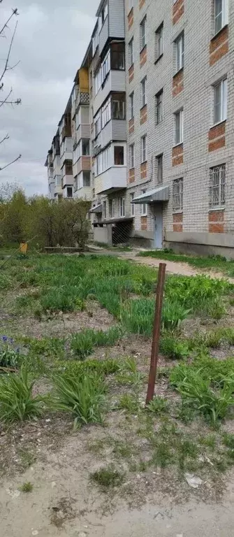 2-к кв. Владимирская область, Петушинский район, пос. Вольгинский ул. ... - Фото 1