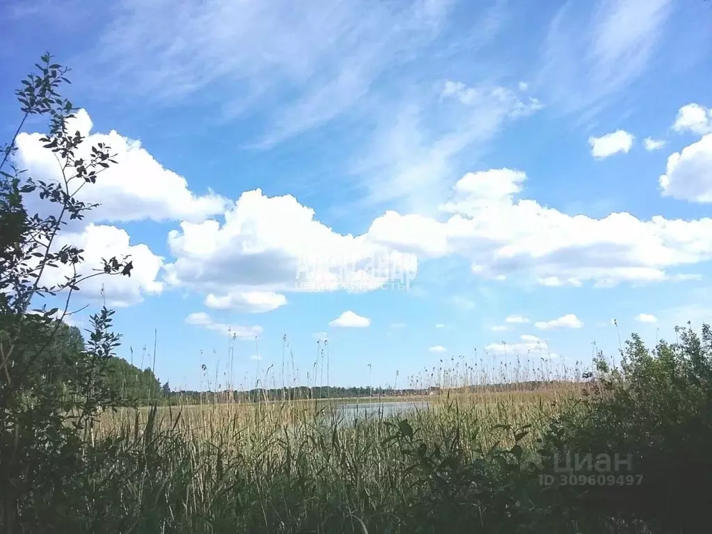 Участок в Ленинградская область, Приозерский район, Ромашкинское ... - Фото 1