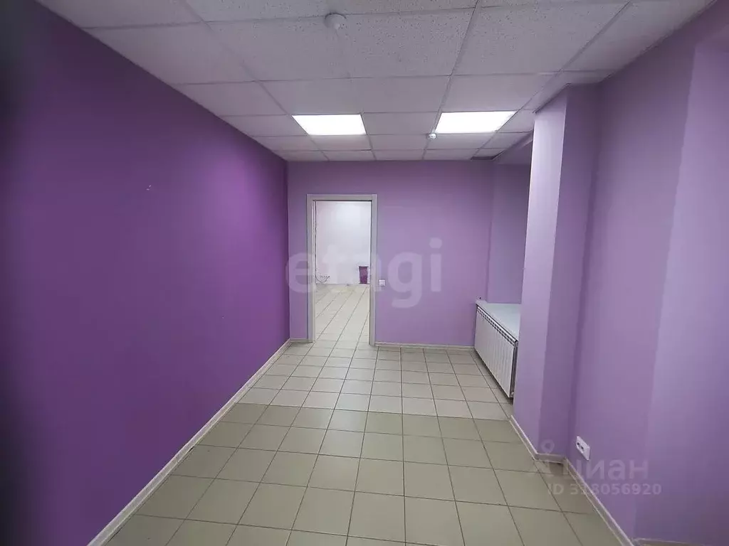 Торговая площадь в Белгородская область, Белгород ул. Архиерейская, 5а ... - Фото 1