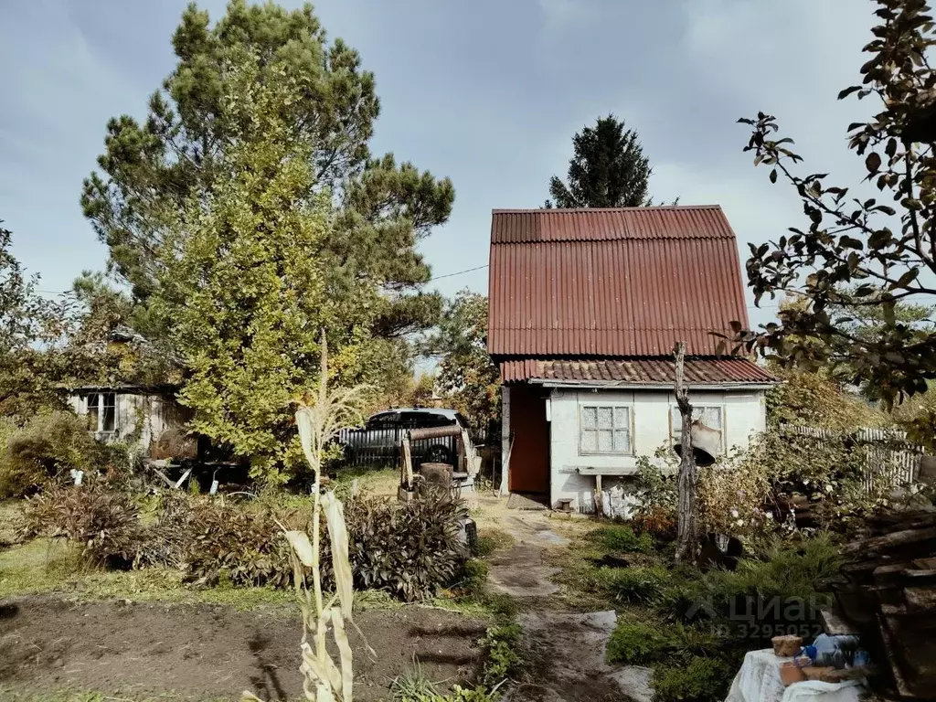 Дом в Омская область, Любинский район, СНТ Сибзаводовец-3 ТСН  (30 м) - Фото 2