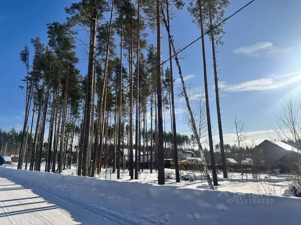 Участок в Коми, Сыктывкар городской округ, Краснозатонский пгт ул. ... - Фото 1
