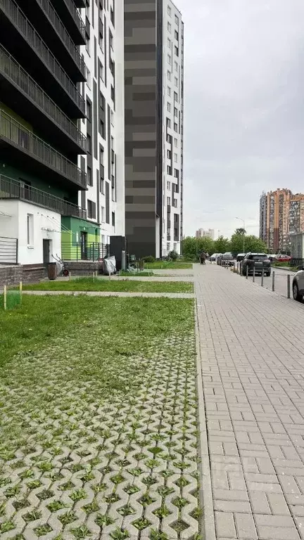 Студия Ленинградская область, Кудрово г. Всеволожский район, Заневское ... - Фото 0