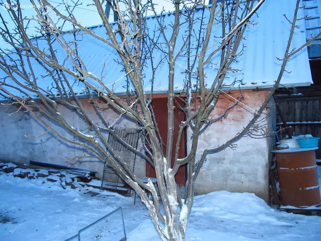 Дом в Курган, СНТ Увальский Сад (60 м) - Фото 1