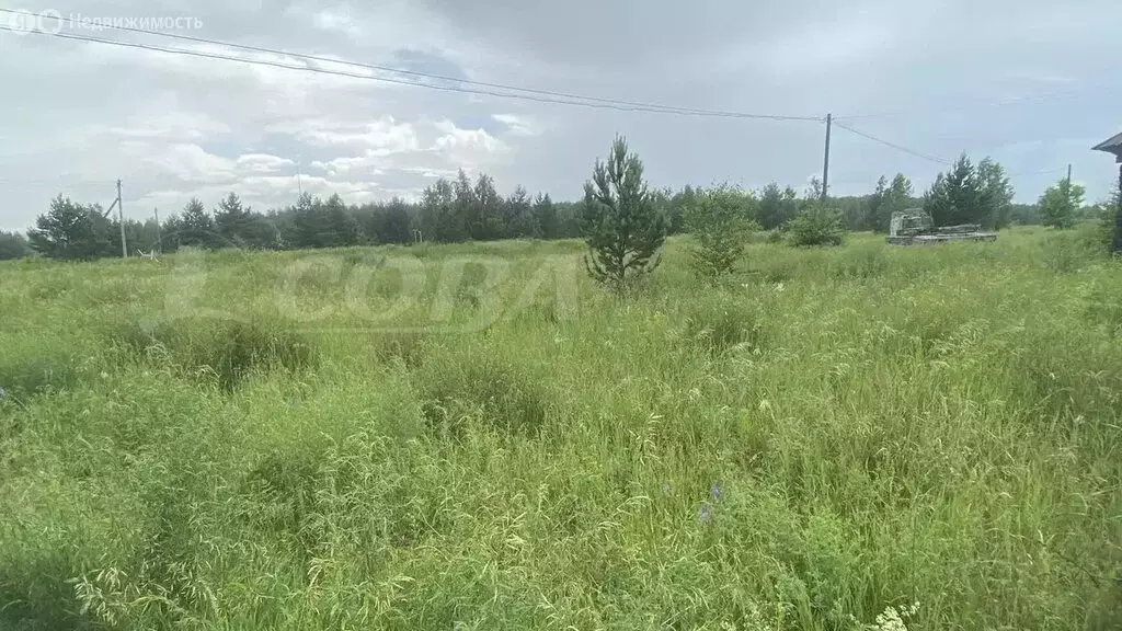 Участок в Тюменская область, Исетский муниципальный округ, село ... - Фото 1