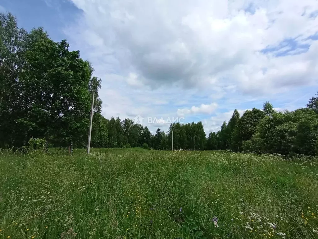 Участок в Владимирская область, Судогодский район, д. Лухтоново 41 ... - Фото 1