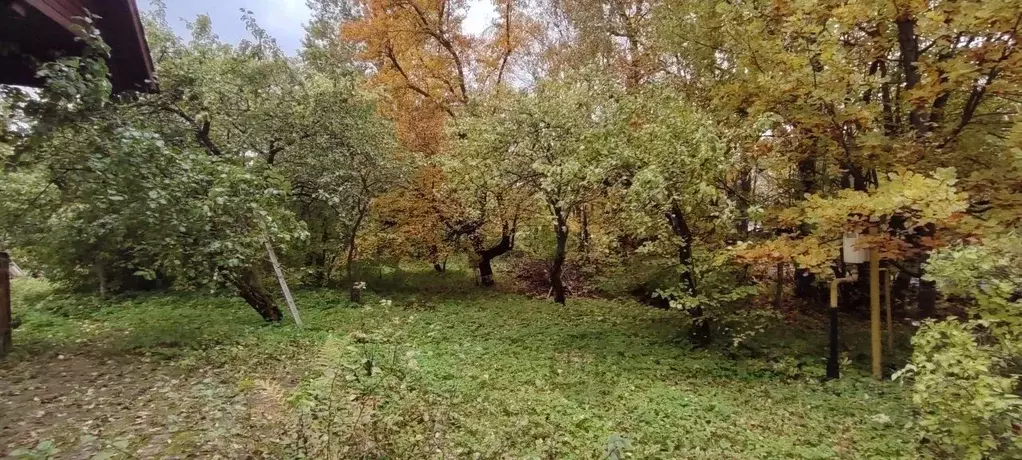 Участок в Санкт-Петербург, Санкт-Петербург, Сестрорецк ул. Ручейная, ... - Фото 0