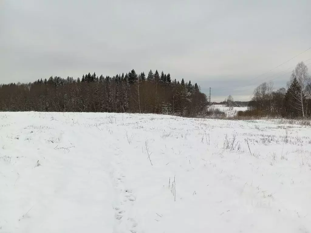 Участок в Московская область, Дмитровский городской округ, пос. ... - Фото 1