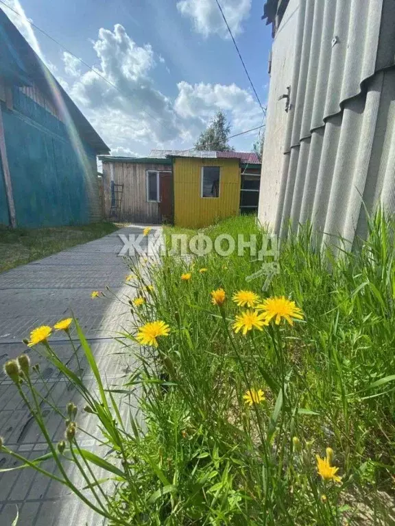 Дом в Ханты-Мансийский АО, Нефтеюганск 11а мкр, ул. Космонавтов (60 м) - Фото 0