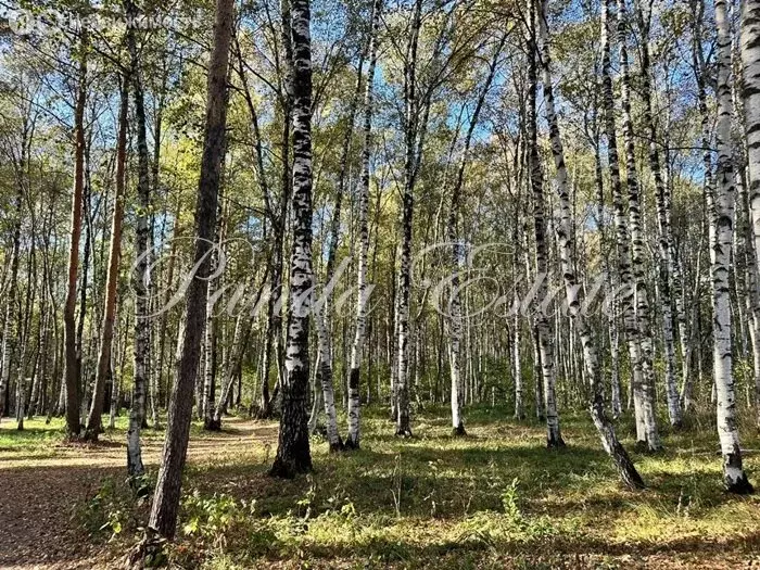 Участок в Одинцовский городской округ, село Ромашково (11.24 м) - Фото 0