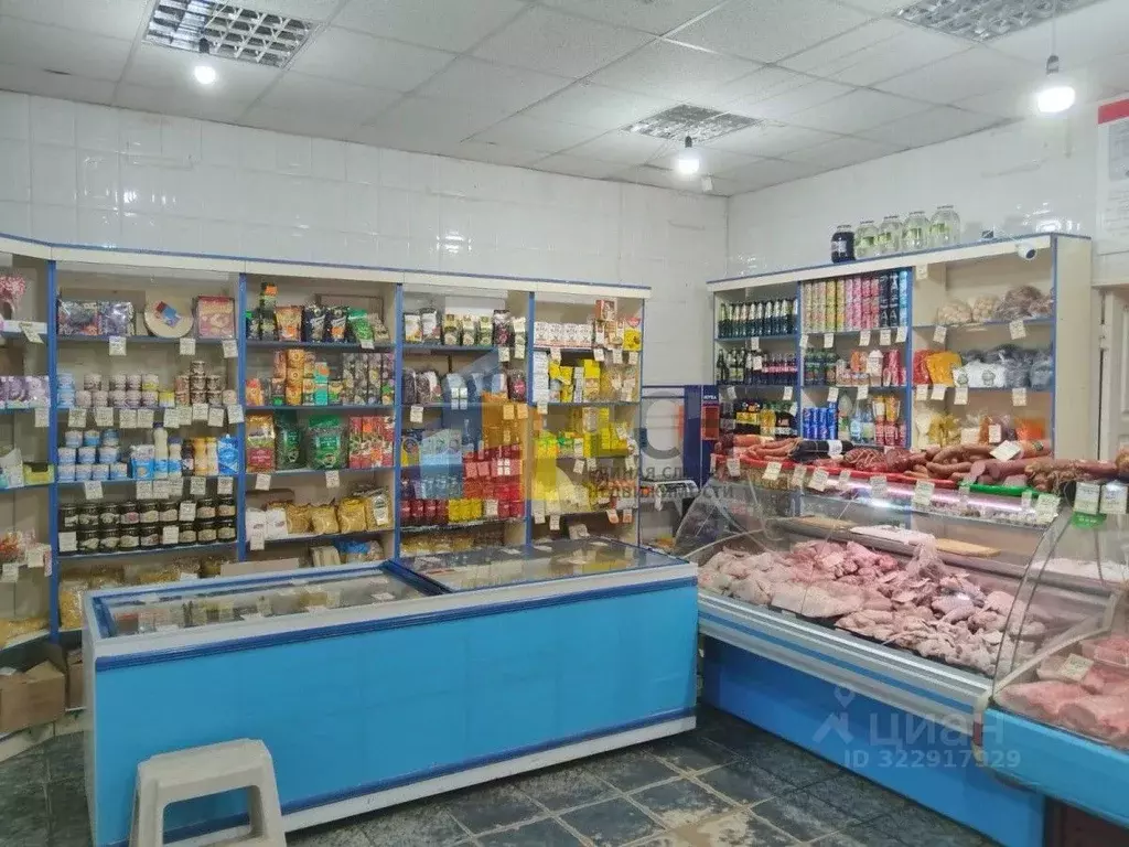 Помещение свободного назначения в Тульская область, Новомосковск ул. ... - Фото 1