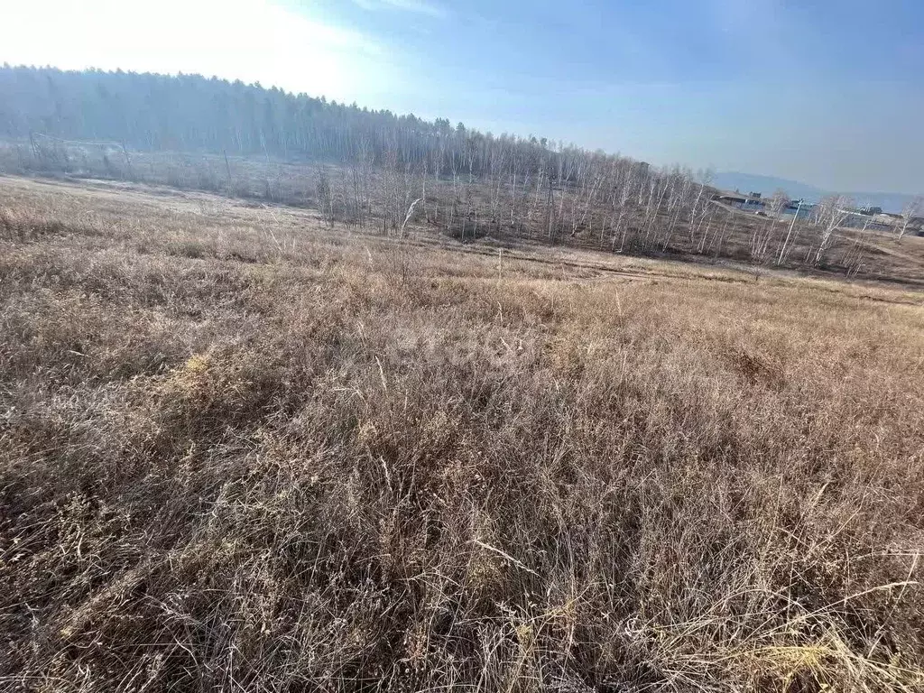 Участок в Забайкальский край, Ононский муниципальный округ, с. Нижний ... - Фото 0